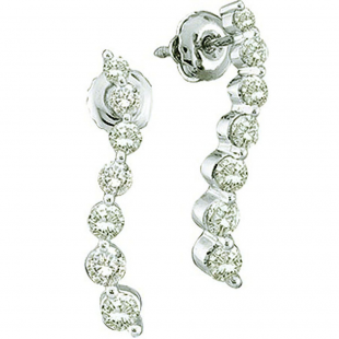 0.25 Carat (ctw) 10k White Gold Brilliant White Diamond Ladies Journey Earrings
