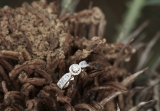 0.80 Carat (ctw) 10K Rose Gold Round Cut Diamond Ladies Bridal Vintage Halo Style Engagement Ring 3/4 CT