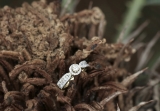 0.80 Carat (ctw) 10K Yellow Gold Round Cut Diamond Ladies Bridal Vintage Halo Style Engagement Ring 3/4 CT